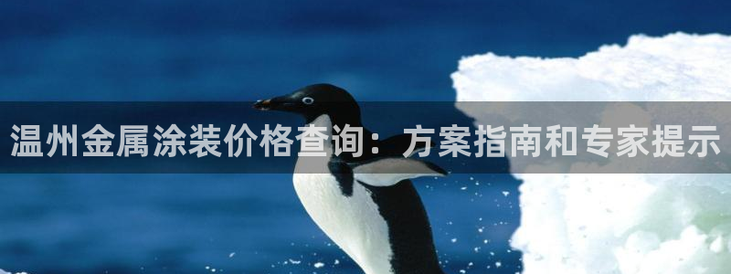 美高梅软件开发创始人