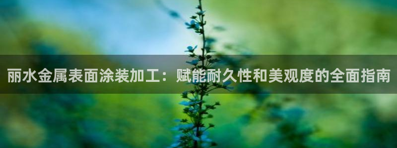 美高梅是哪个国家的品牌