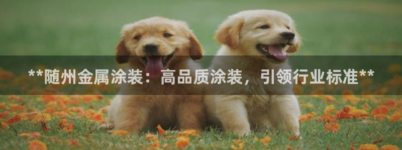 美高梅会员卡有用吗