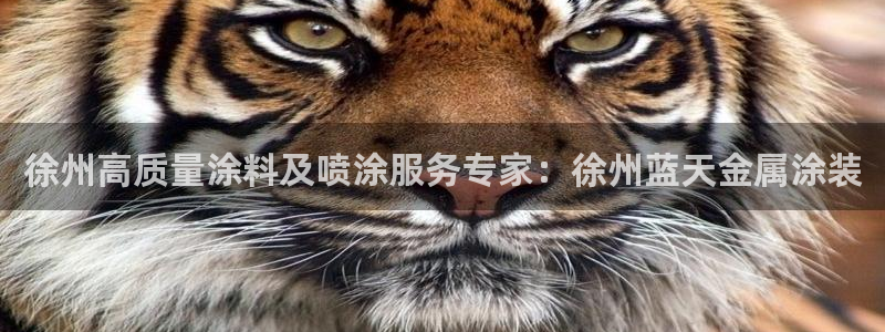 美高梅净利润