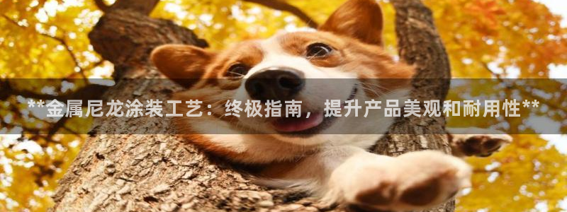 美高梅游戏导航