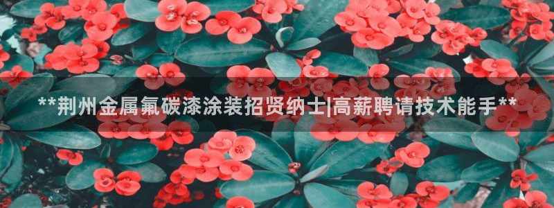 美高梅是何超琼的吗?