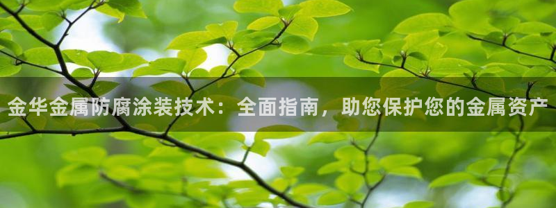 美高梅和米高梅是一家公司吗