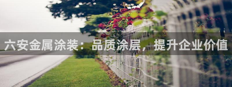 美高梅会员卡级别黑卡