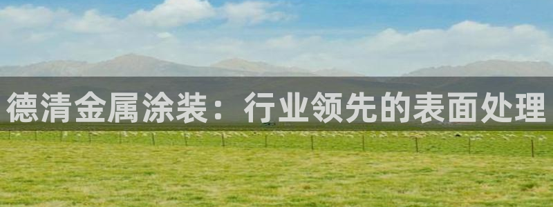 美高梅控股有限公司怎么样
