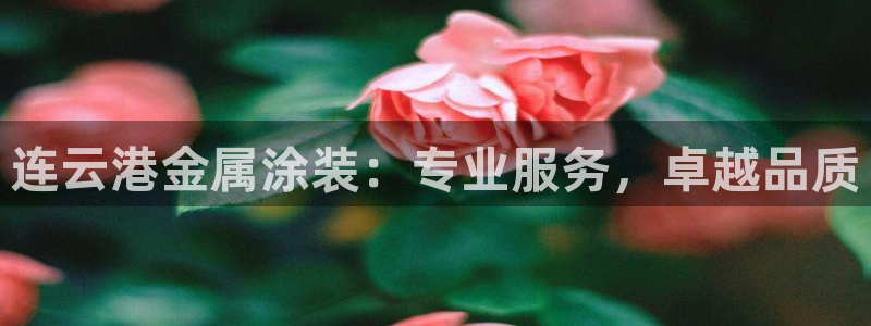 美高梅卡是什么