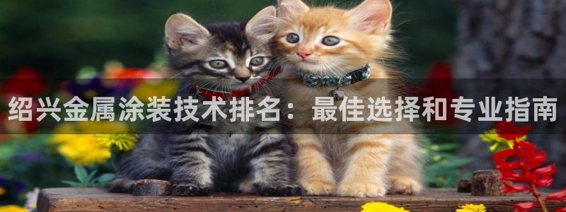 美高梅酒店澳门是总部吗还是分部