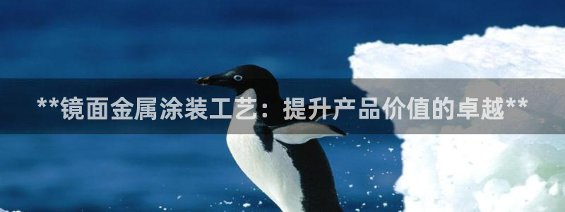美高梅控股有限公司怎么样