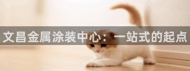 美高梅属于哪个公司