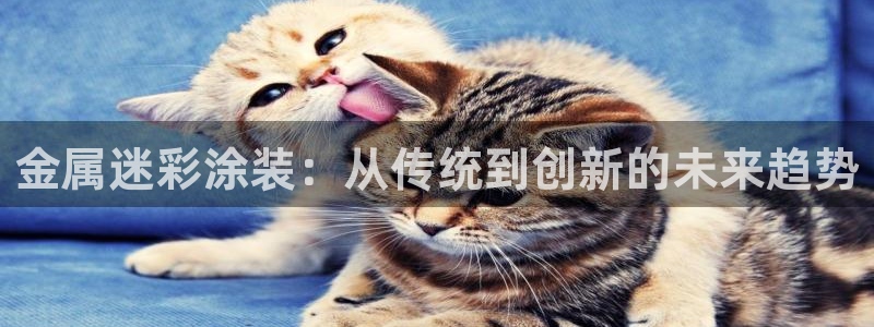 美高梅是美国的还是澳门的