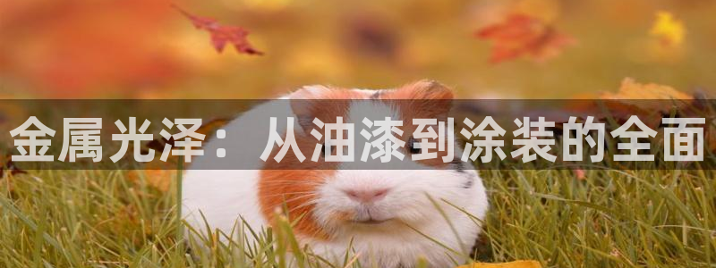 美高梅酒店认养的大熊猫