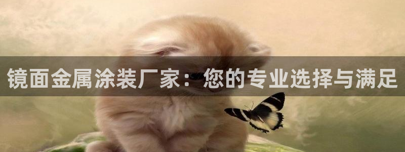 美高梅北京物业管理有限公司怎么样