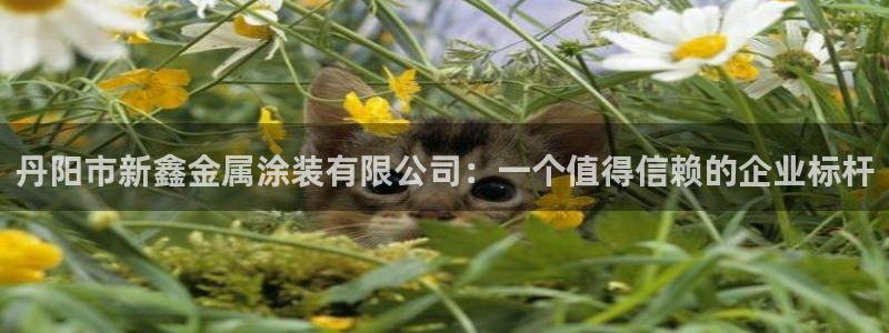 美高梅酒店多少钱一晚三亚