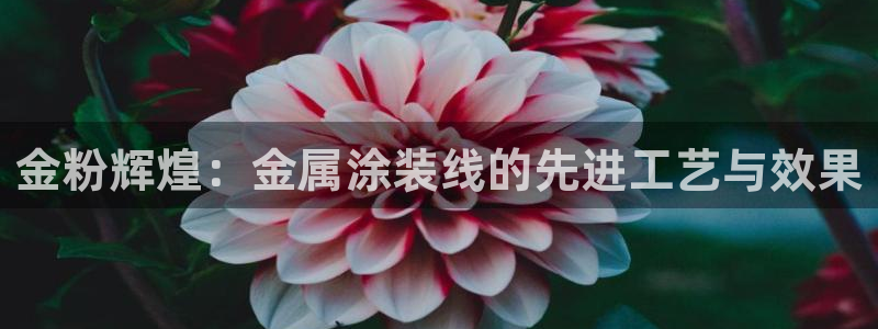 美高梅品牌介绍
