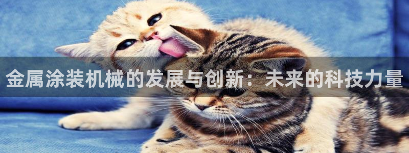 美高梅黑我钱怎么办