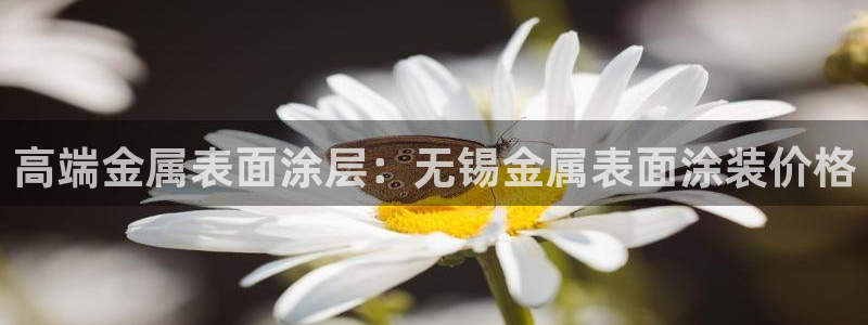 美高梅会员卡级别黑卡