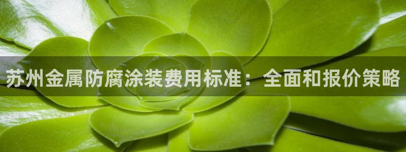 美高梅现状