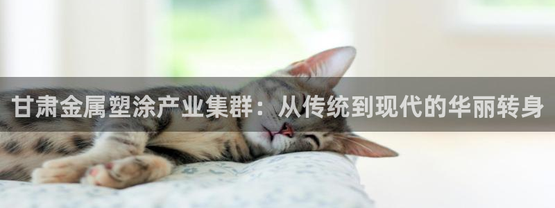 美高梅会员卡怎么办理：甘肃金属塑涂产业集