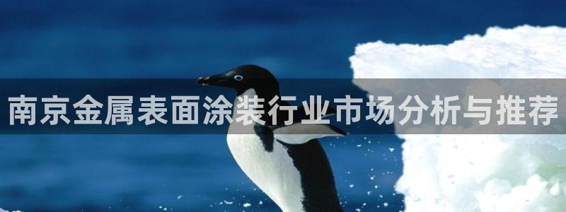美高梅现：南京金属表面涂装行业市场分析与