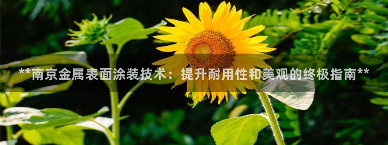 美狮美高梅酒店风水