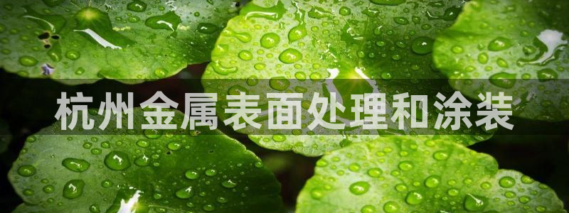 美高梅附近有哪些酒店