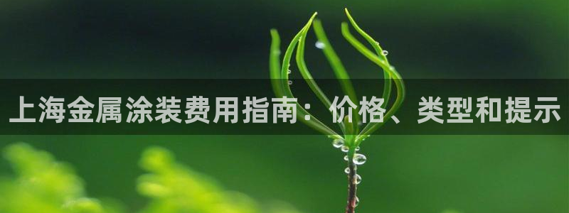 美高梅酒店几星级的