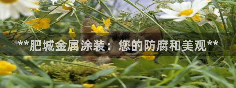 美高梅登录不上去了