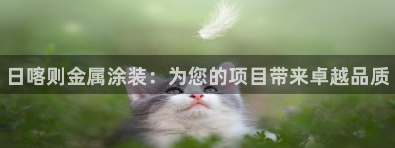 美高梅哪个集团的