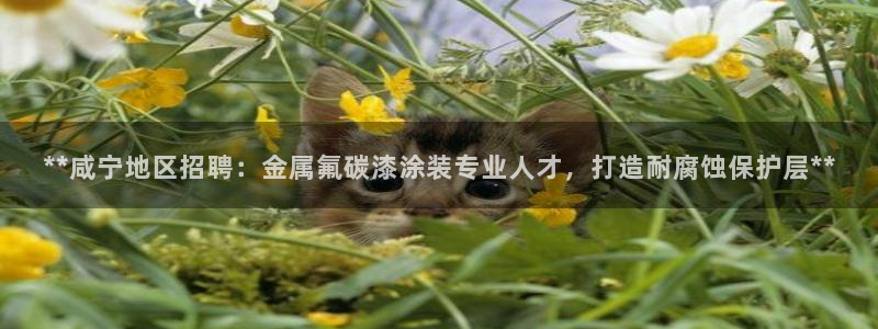 美高梅是上市公司吗