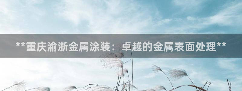 美高梅酒店拖鞋