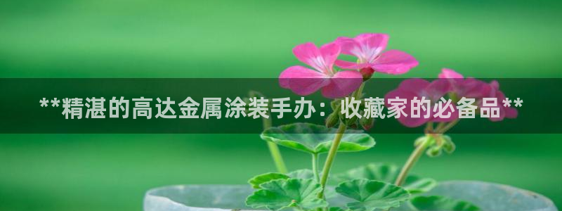 美高梅会员卡办理要提供什么资料