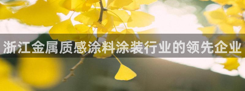 美高梅的老板是何超莲吗