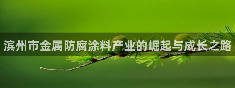 澳门新开美高梅的酒店