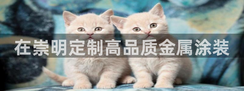 美高梅酒店属于哪个集团