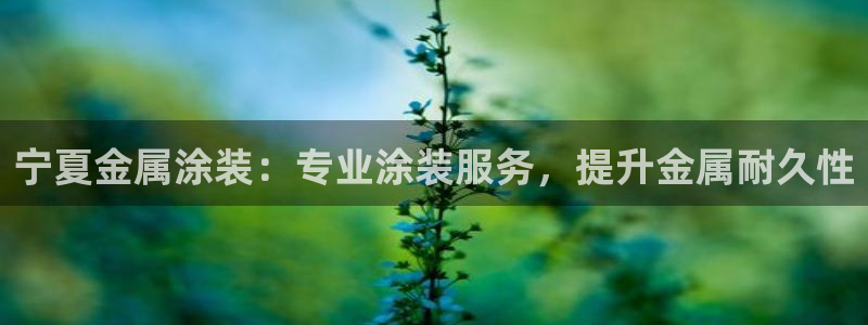 美高梅会员卡被别人用了