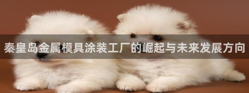 美高梅游戏官网app可以玩吗安卓