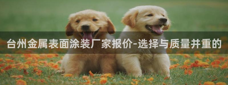 美高梅酒店自助餐