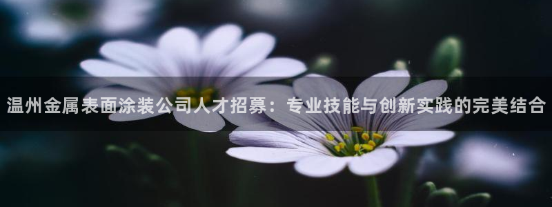 美高梅人员推销