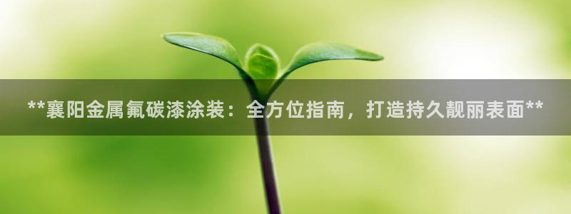 美高梅酒店特点