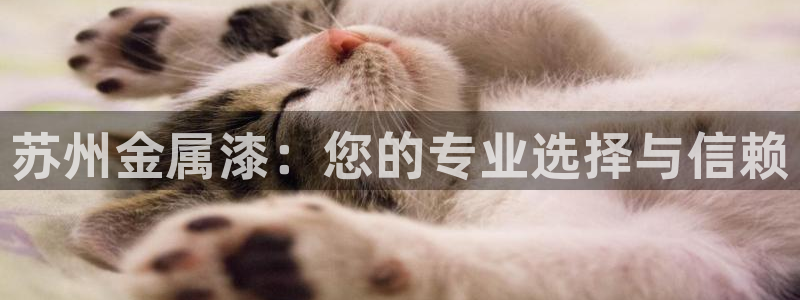 美高梅别墅的供暖费是多少