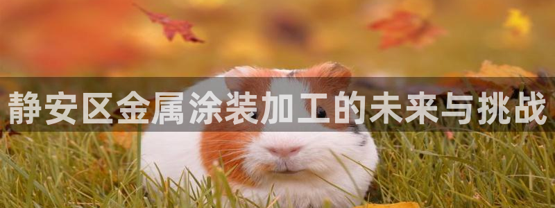 澳门的美高梅酒店外观视频