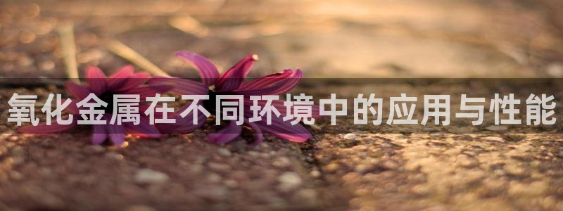 美狮美高梅酒店跟铁塔近吗