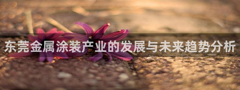 美高梅矿泉水多少钱一瓶