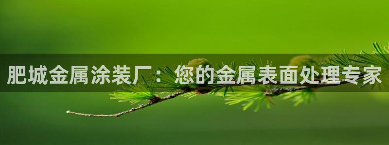 美高梅老板是谁澳门