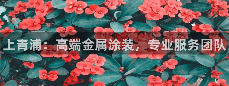 美高梅入职面试