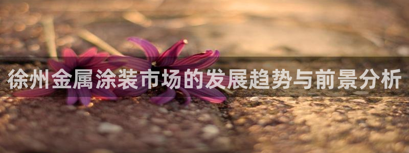 美高梅是干什么的