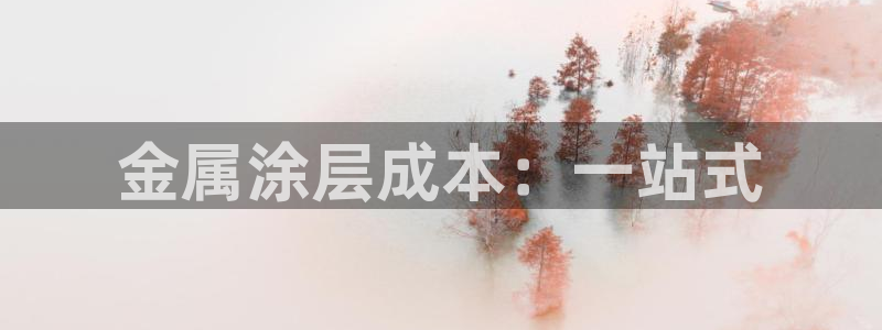 美高梅会员卡怎么用：金属涂层成本：一站式